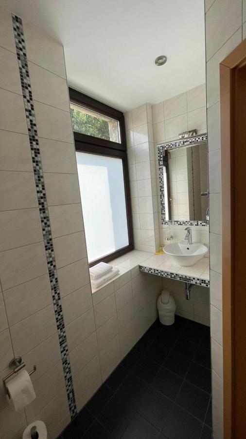 Avenue Das Gaestehaus ケムニッツ エクステリア 写真